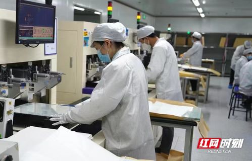 電子工匠展風采，勞務品牌促發展——冷水灘區以專業勞務品牌助力就業與產業雙贏
